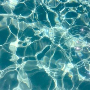 Meet your Posher, Lexi